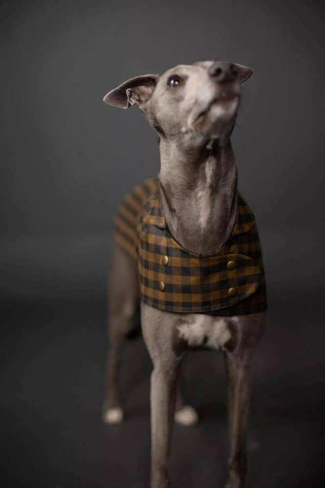 Patrón de abrigo para perro Barka de Merchant and Mills