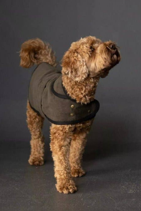 Patrón de abrigo para perro Barka de Merchant and Mills