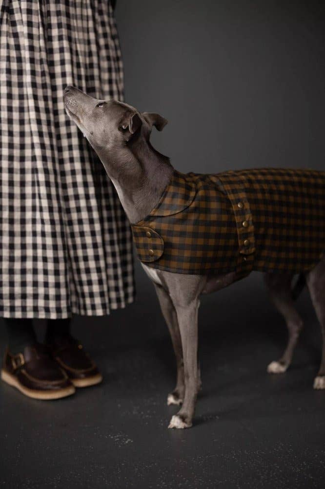 Patrón de abrigo para perro Barka de Merchant and Mills