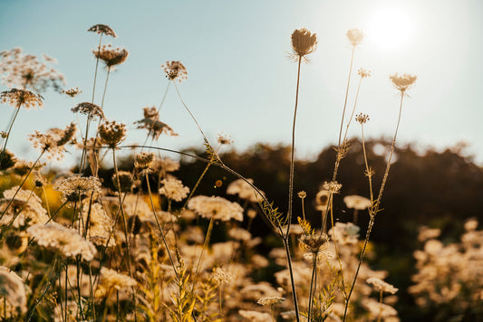 The Environmental Benefits of Sewing Your Own Clothes